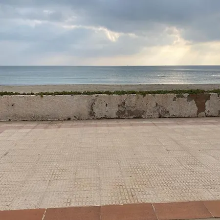 Jardin Del Mar *