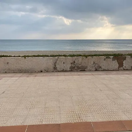 Jardin Del Mar *